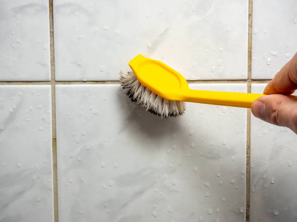 Best Attic Mold Removal  in Dillon, MT