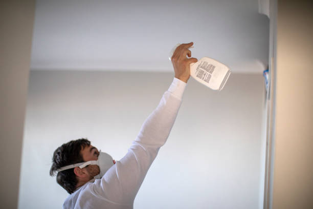 Best Black Mold Removal  in Dillon, MT
