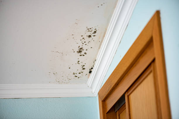 Water Damage Restoration in Dillon, MT