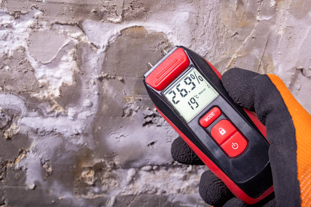 Professional Mold Removal in Dillon, MT